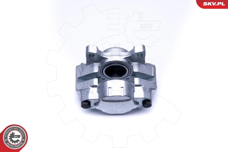 Brake Caliper 45SKV281