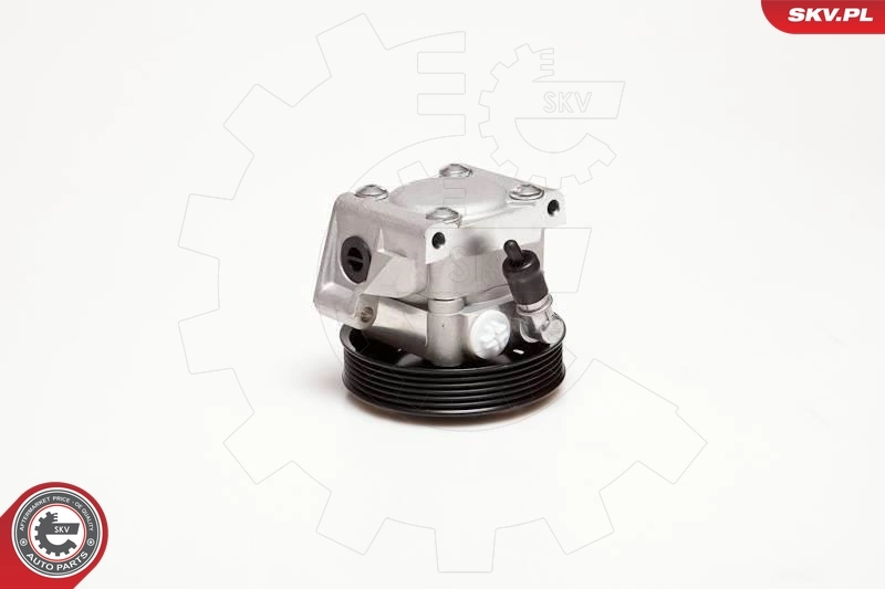Hydraulic Pump, steering 10SKV001