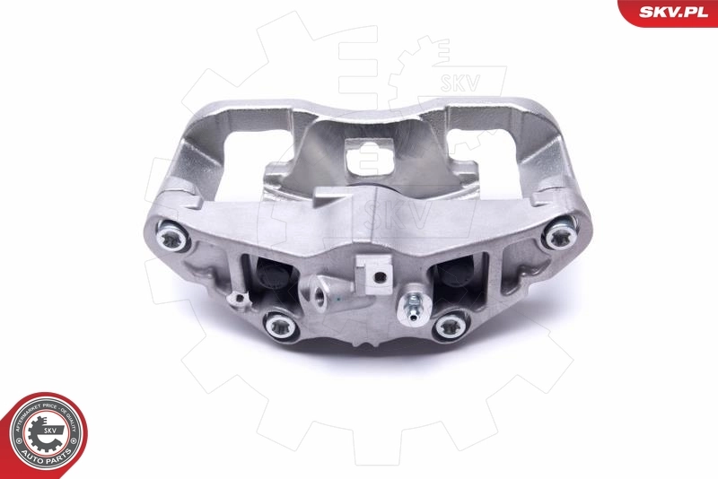 Brake Caliper 55SKV621