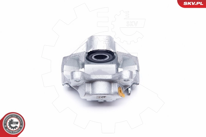 Brake Caliper 42SKV014