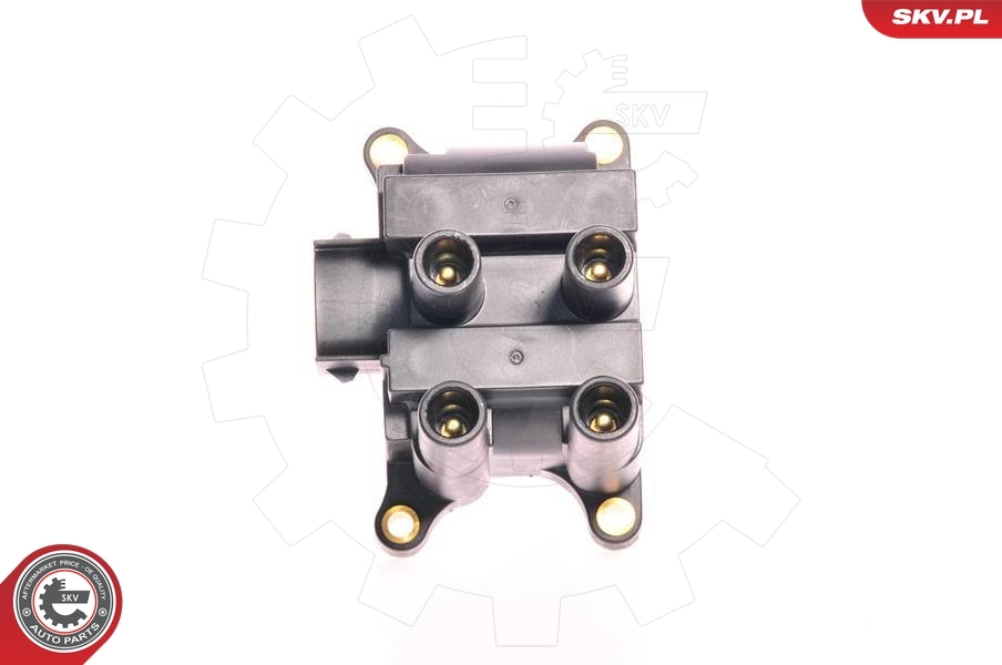 Ignition Coil 03SKV015