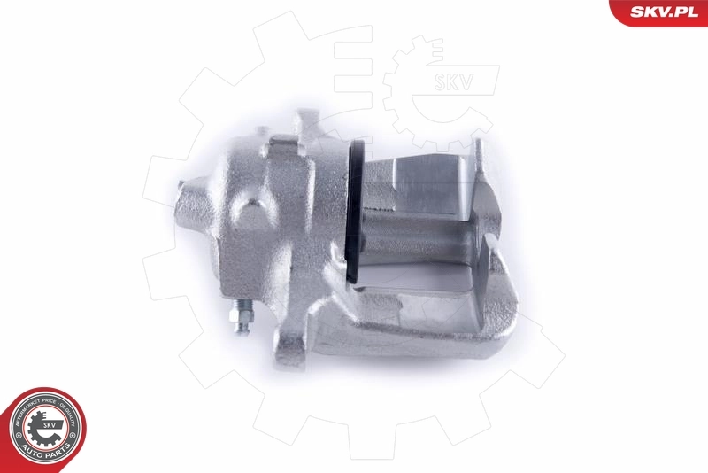 Brake Caliper 55SKV391