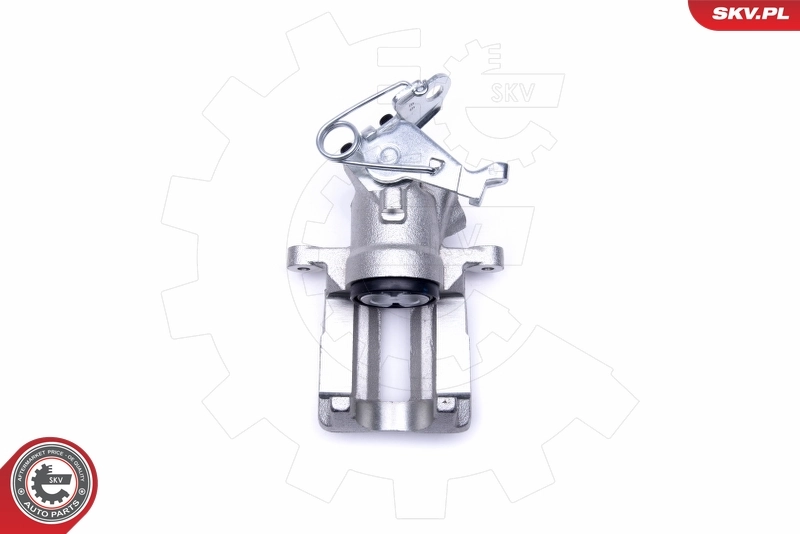 Brake Caliper 50SKV223