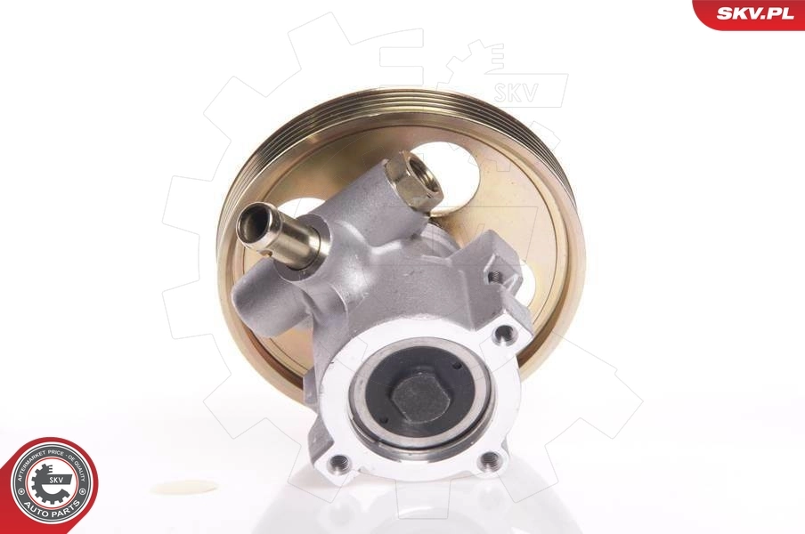 Hydraulic Pump, steering 10SKV119