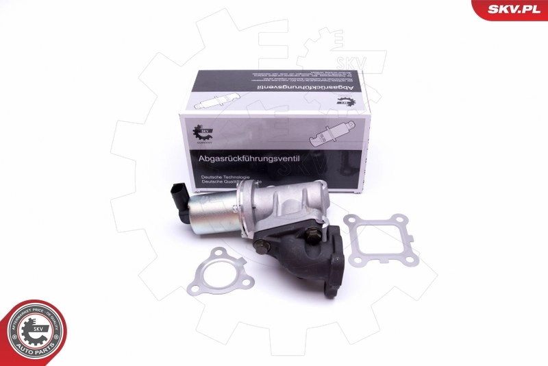 EGR Valve 14SKV214