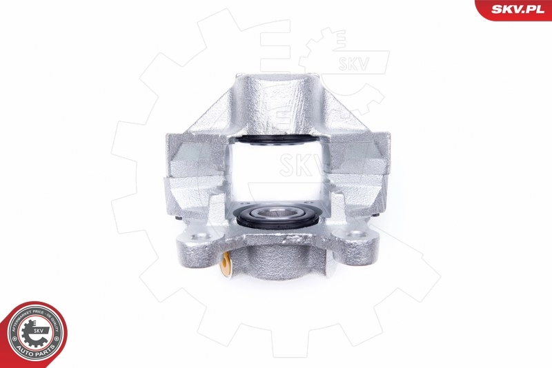 Brake Caliper 42SKV013