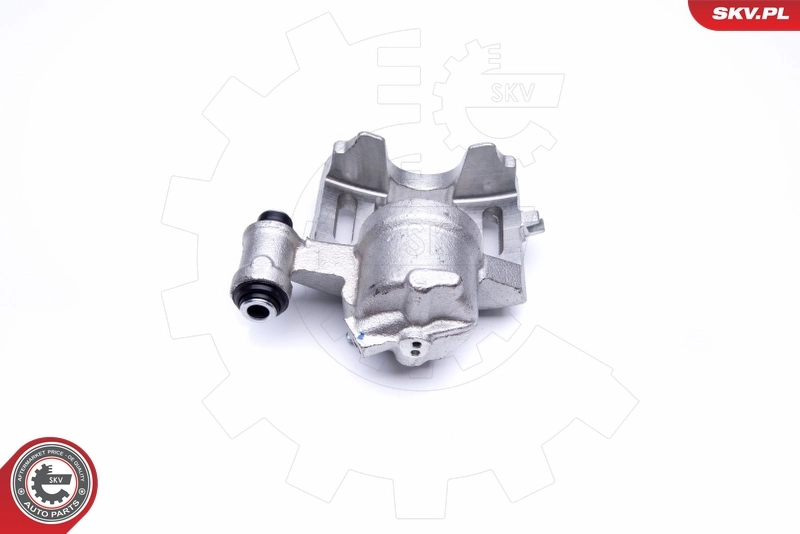 Brake Caliper 42SKV132