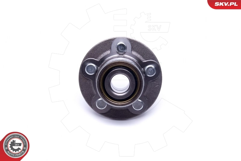 Wheel Bearing Kit 29SKV378