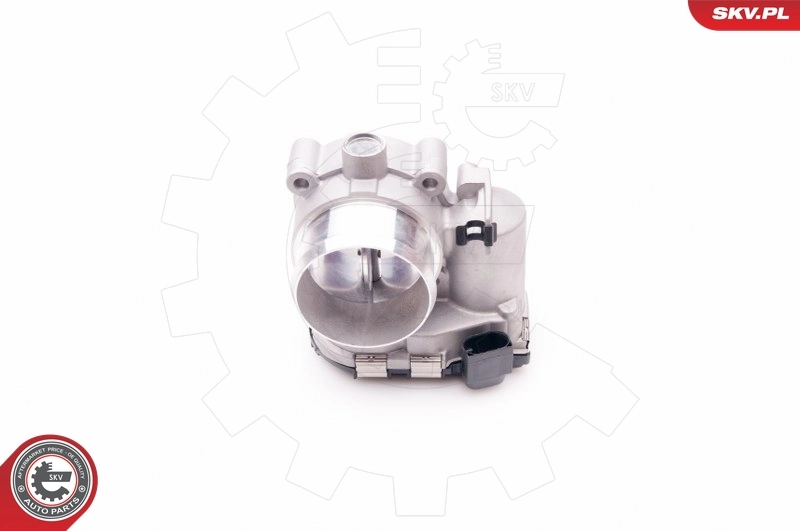 Throttle Body 12SKV053