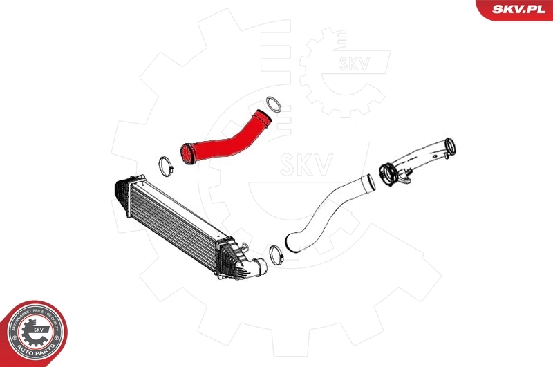 Charge Air Hose 24SKV625