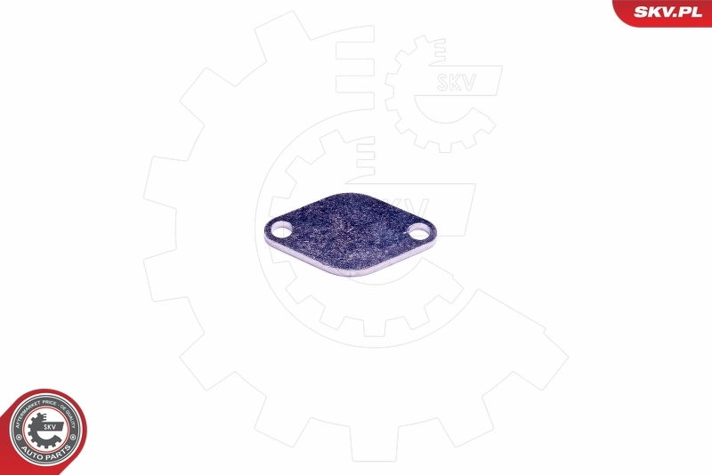 ESEN SKV 14SKV541 Repair Set, EGR valve