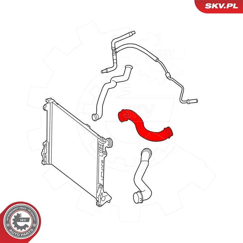 Radiator Hose 43SKV618
