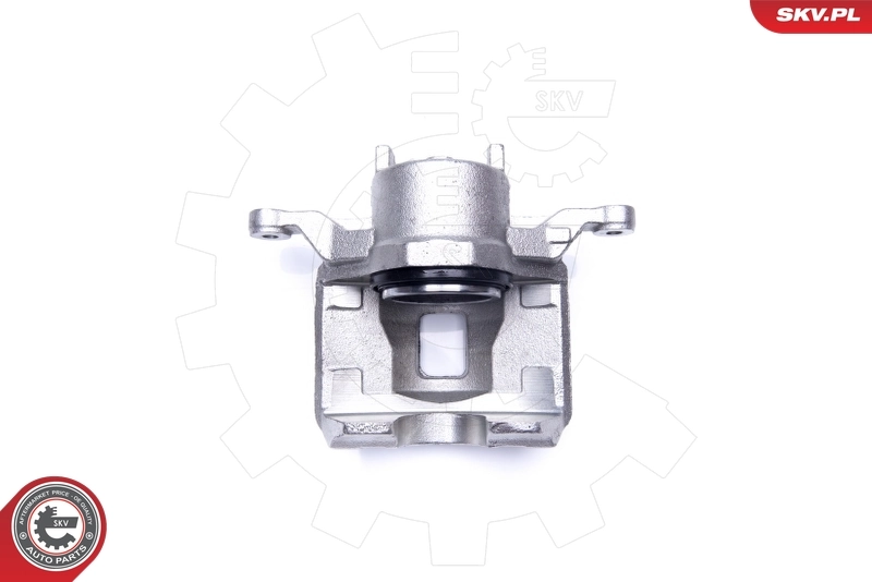 Brake Caliper 44SKV961