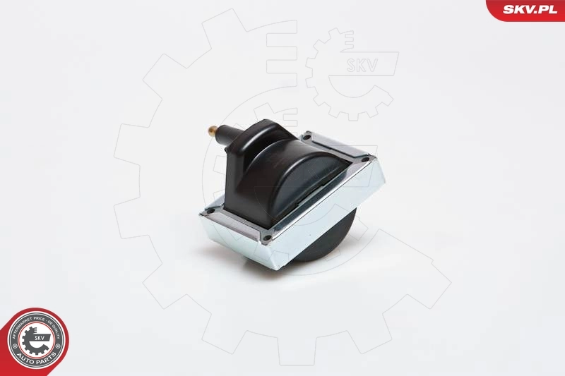 Ignition Coil 03SKV040