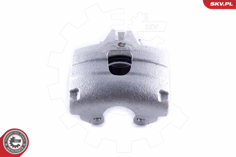 Brake Caliper 50SKV991