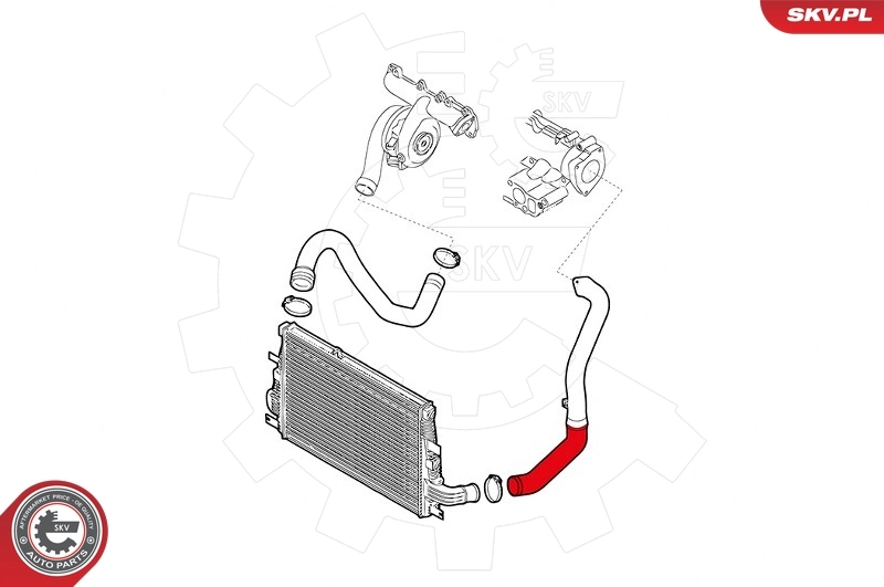 Charge Air Hose 43SKV034