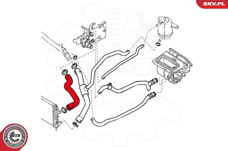 Radiator Hose 24SKV224