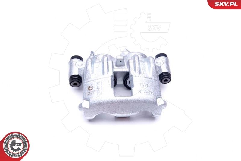 Brake Caliper 42SKV882