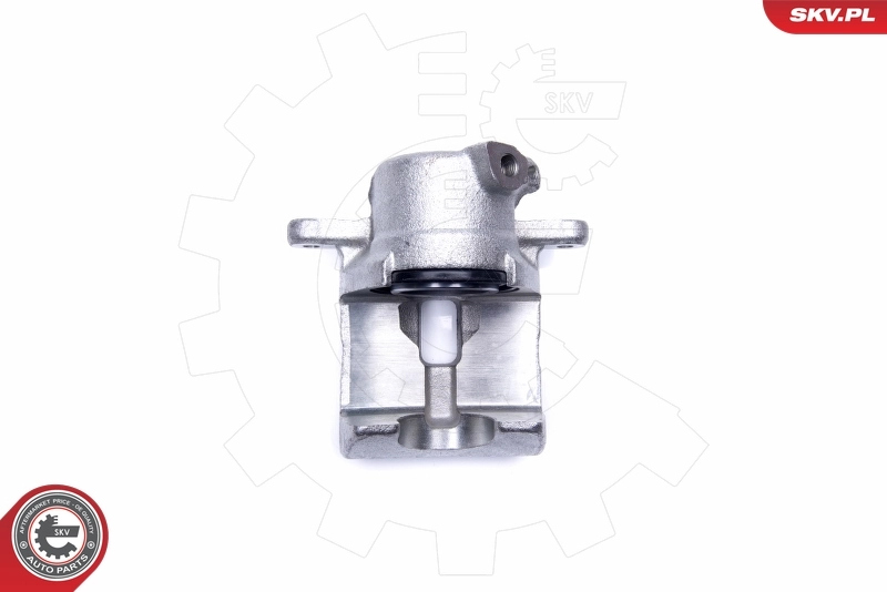 Brake Caliper 44SKV812