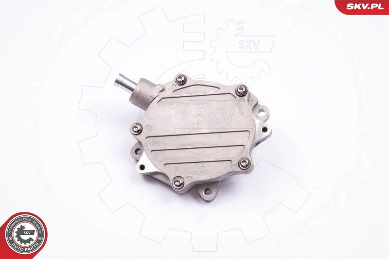 진공 펌프, 브레이크 시스템 18SKV015