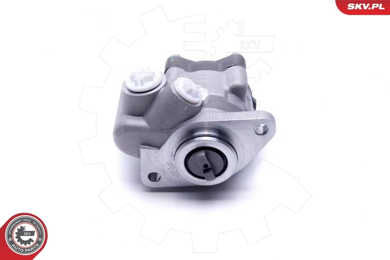 Hydraulic Pump, steering 10SKV299