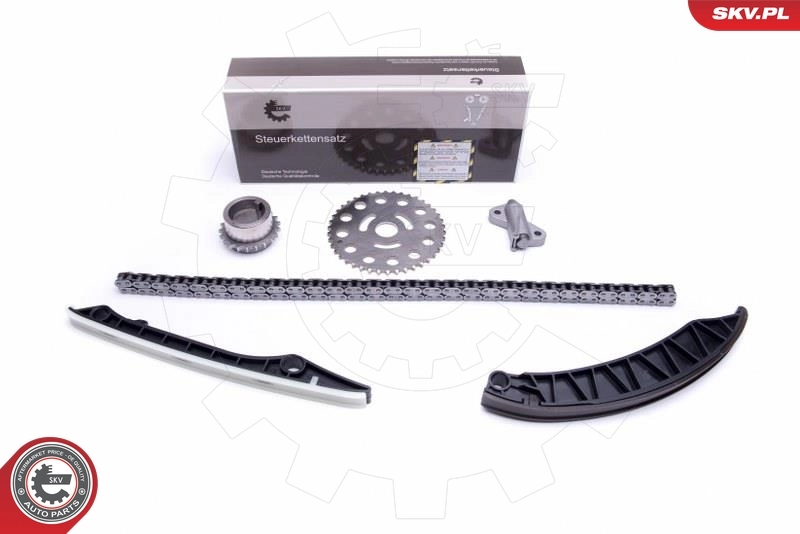 Timing Chain Kit 21SKV173