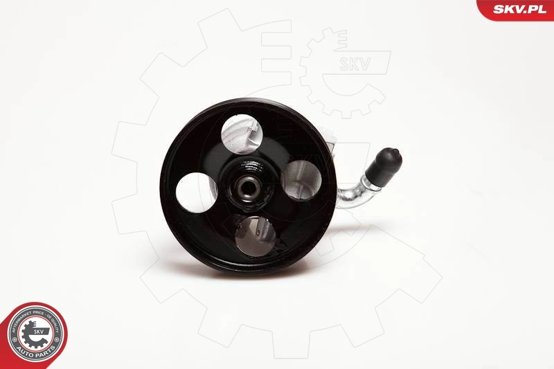 Hydraulic Pump, steering 10SKV031