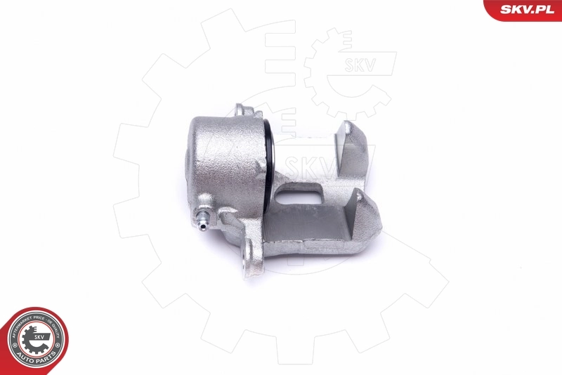 Brake Caliper 42SKV142
