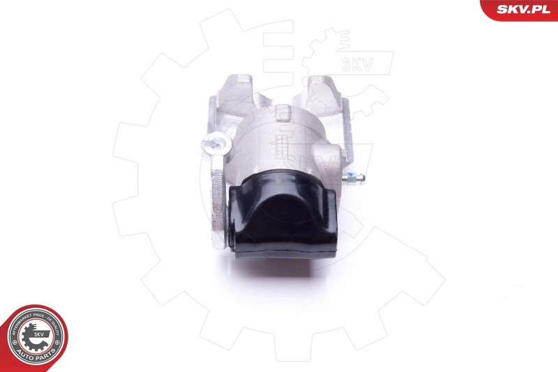 Brake Caliper 45SKV873