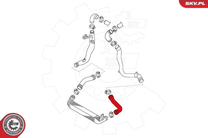 Charge Air Hose 43SKV119