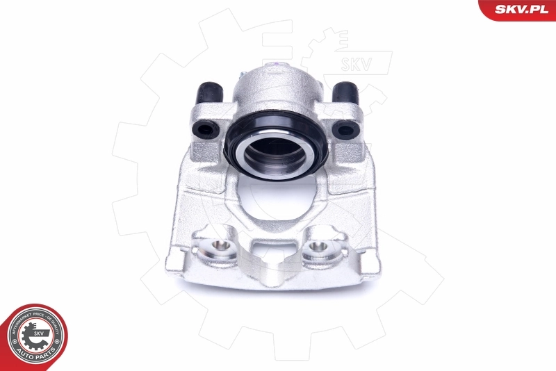 Brake Caliper 45SKV031