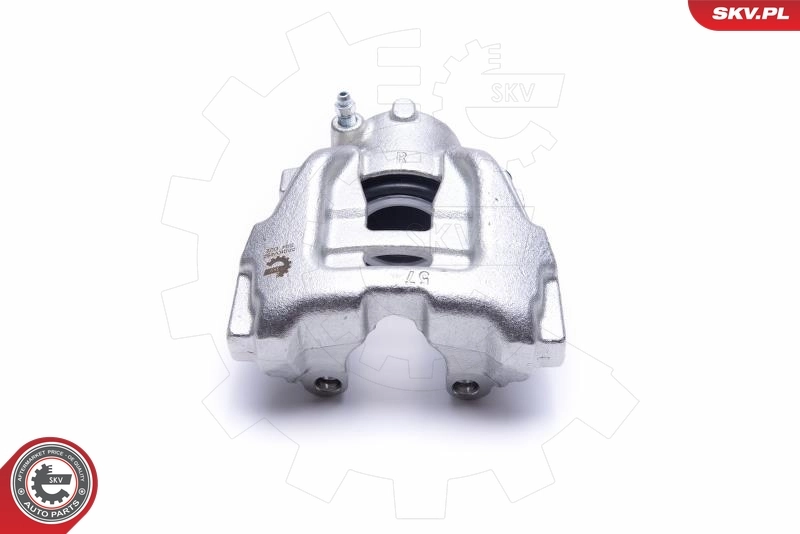 Brake Caliper 55SKV492