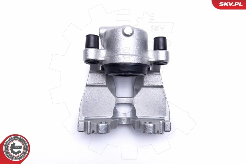 Brake Caliper 55SKV491