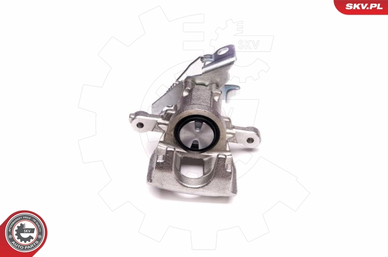 Brake Caliper 23SKV048