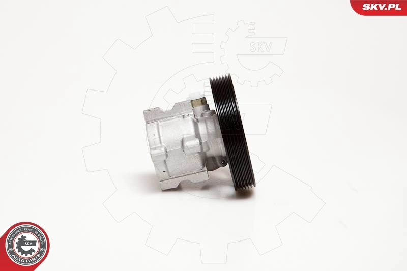 Hydraulic Pump, steering 10SKV086