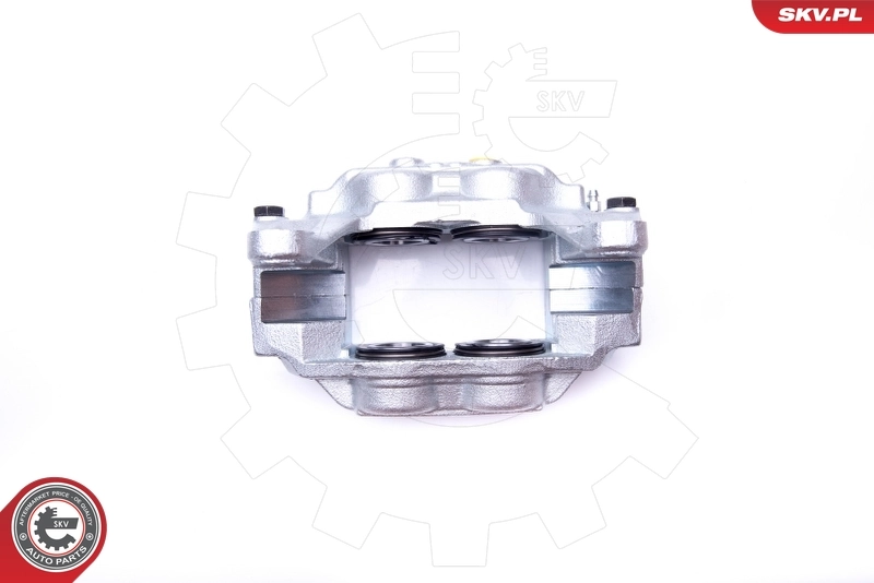 Brake Caliper 42SKV171