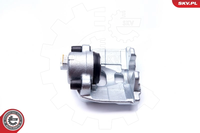 Brake Caliper 42SKV052