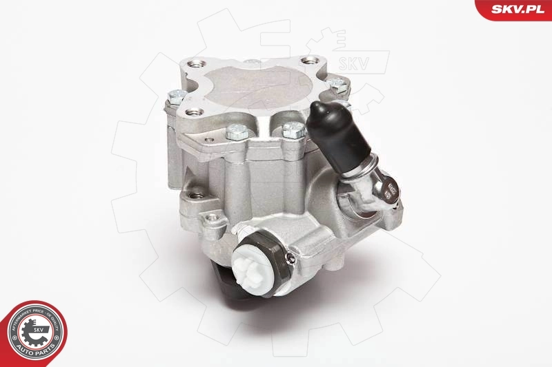 Hydraulic Pump, steering 10SKV015