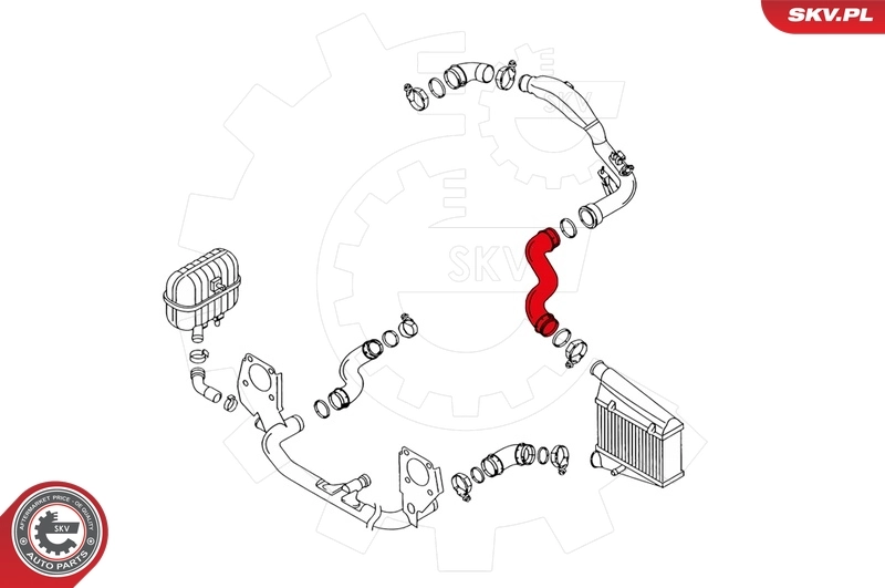 Charge Air Hose 24SKV069