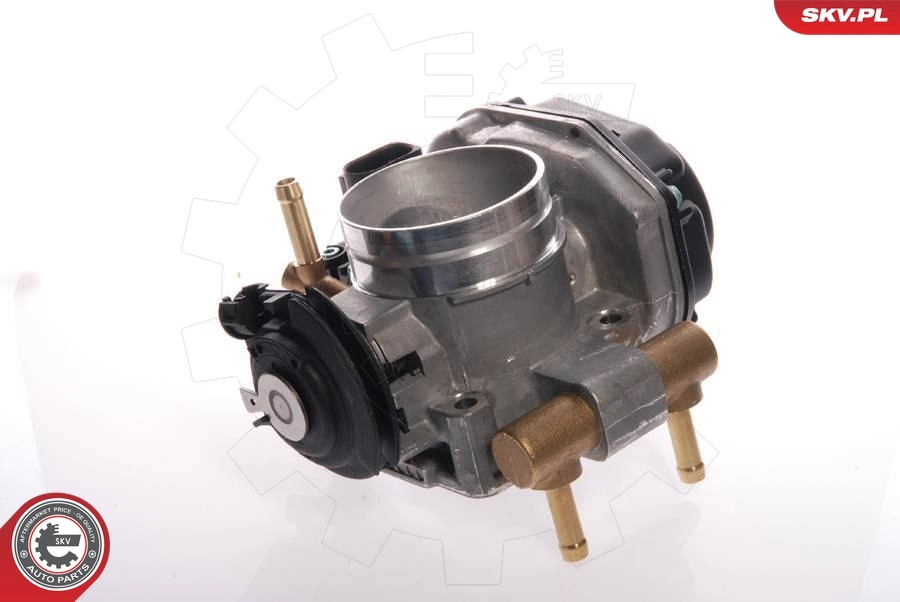 ESEN SKV 12SKV016 Throttle Body