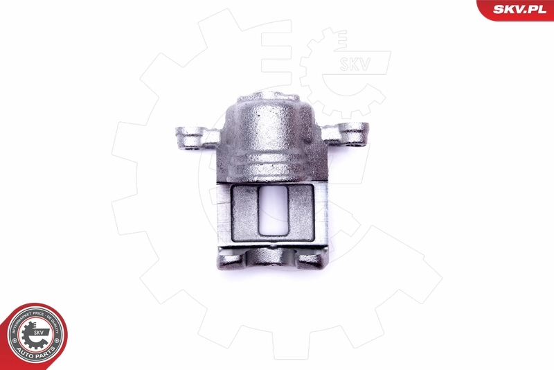 Brake Caliper 45SKV793
