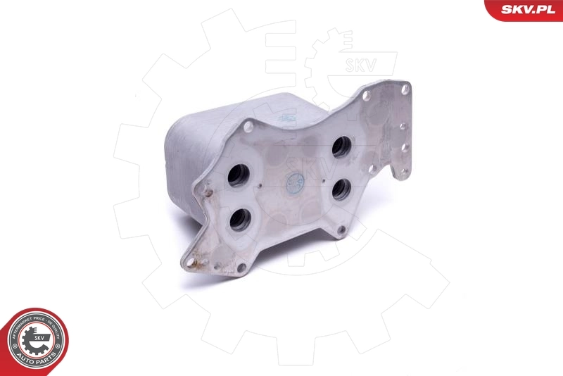 Oil Cooler, engine oil 31SKV212