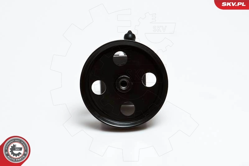 Hydraulic Pump, steering 10SKV028