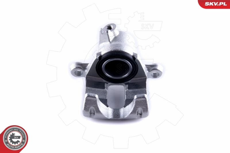 Brake Caliper 50SKV823