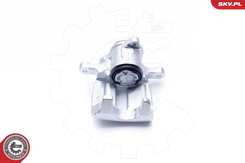 Brake Caliper 34SKV763