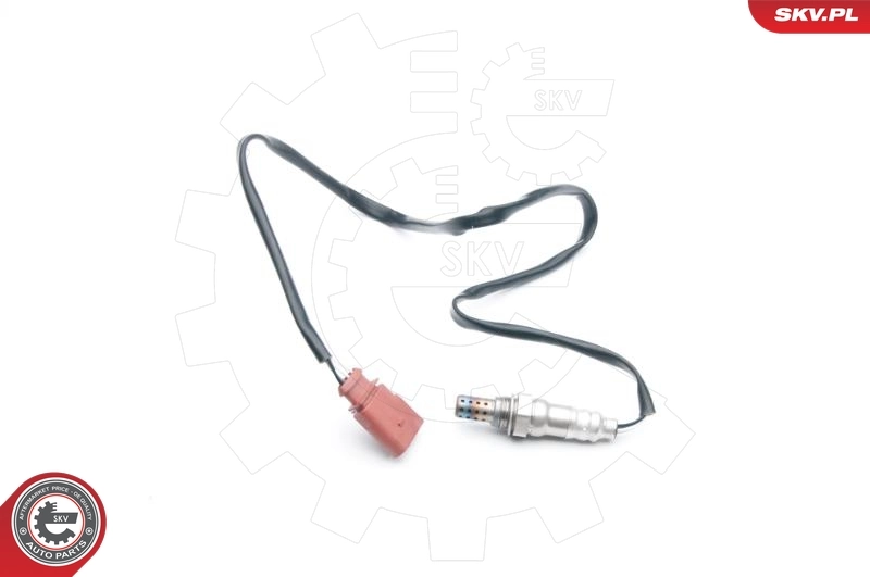Oxygen Sensor 09SKV698