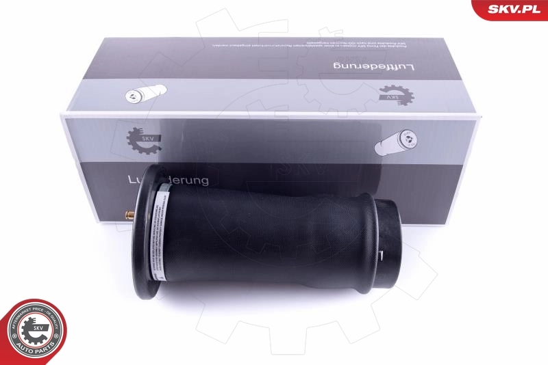 Air Spring, suspension 58SKV039