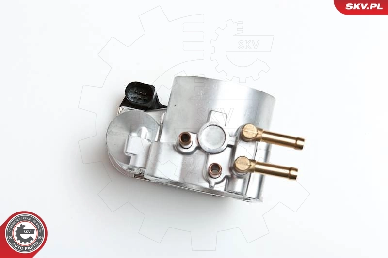 Throttle Body 12SKV012