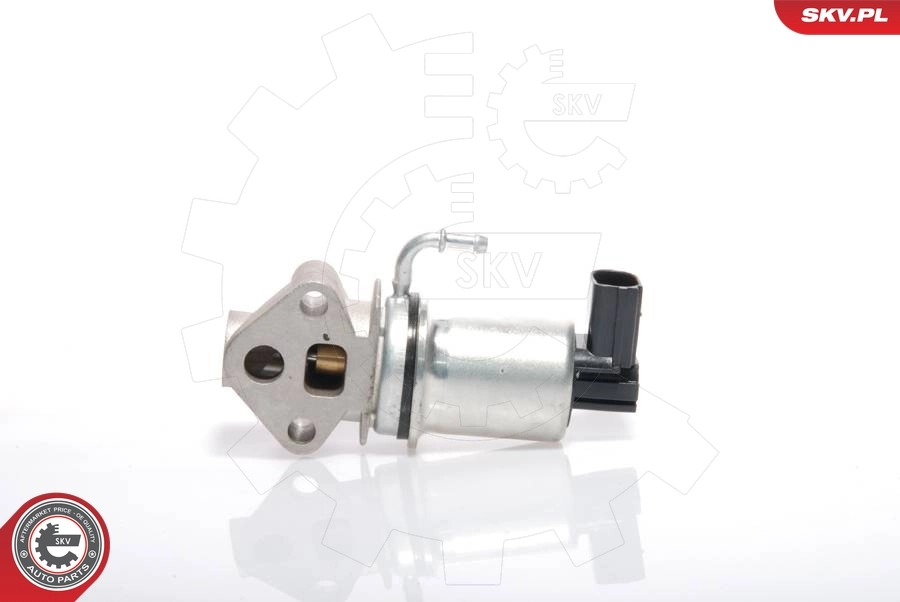 EGR Valve 14SKV018