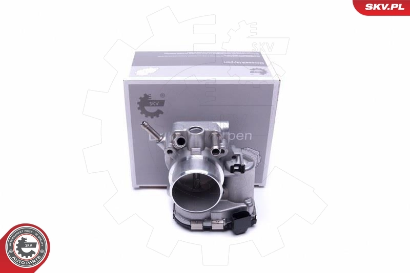 Throttle Body 12SKV098